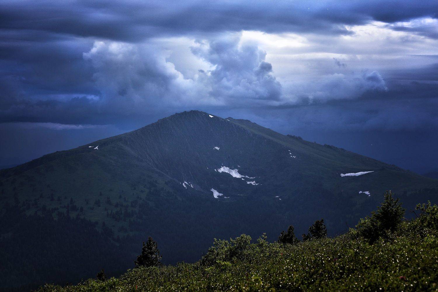 , Павел Мартюшев
