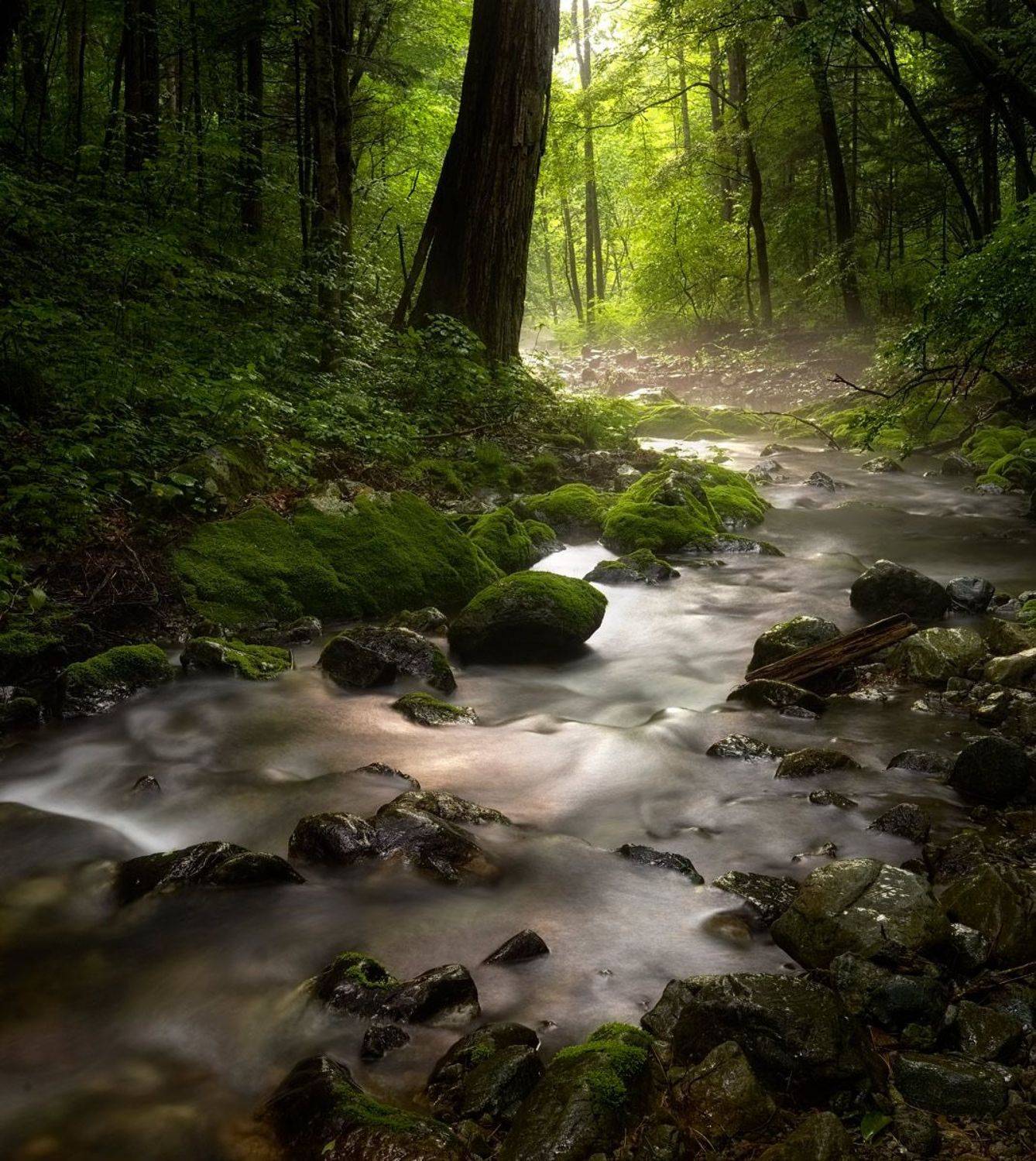 приморский край, ручей, тайга, лето, камни, Евгений Паршуков