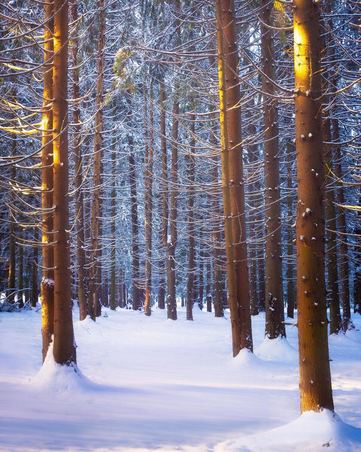 , Костенко Александр