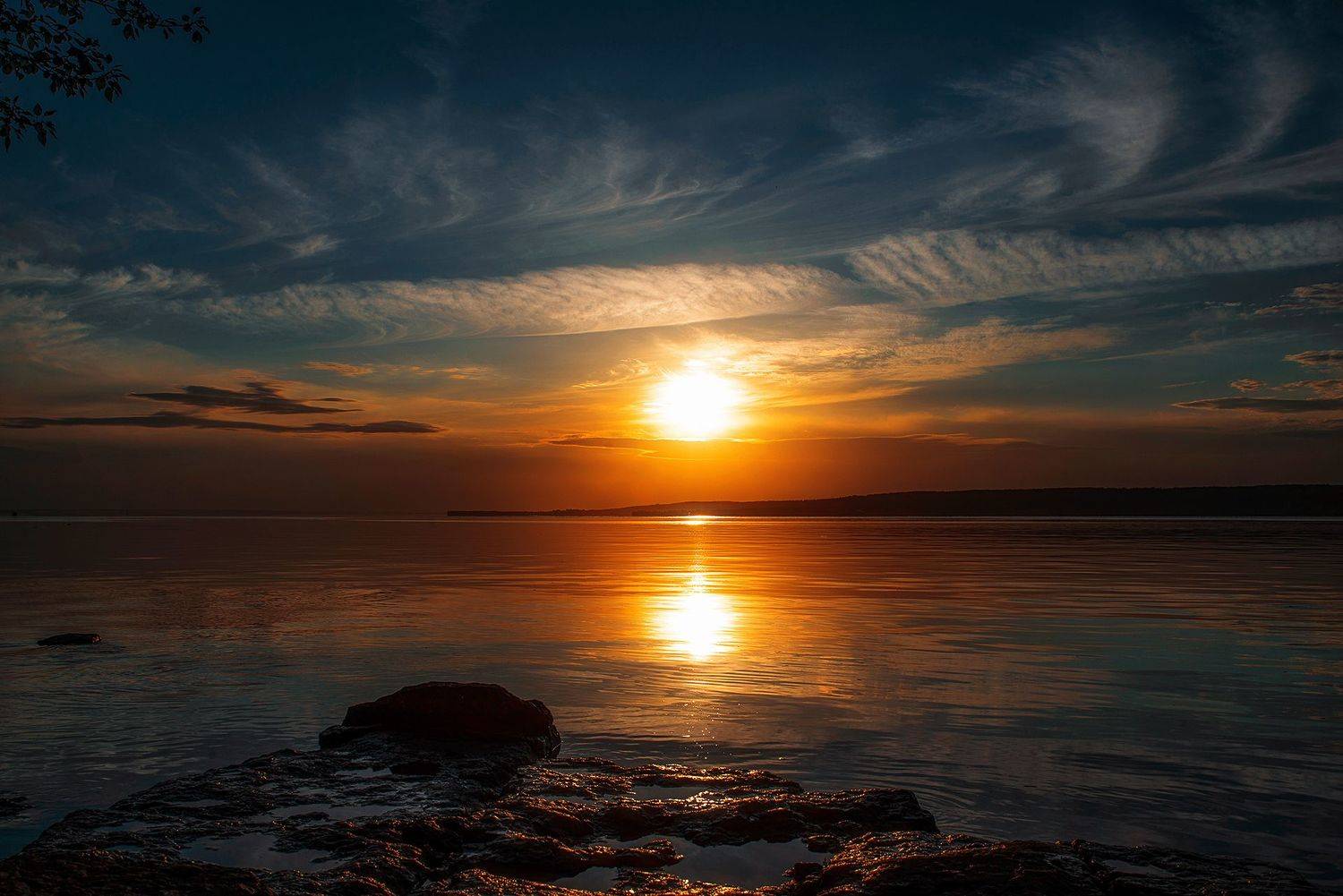 , Дзюба Нелли