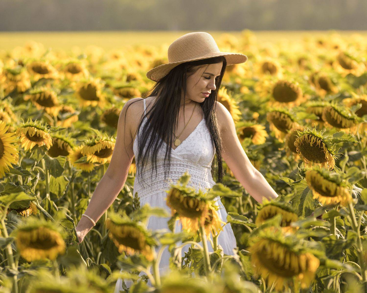 , Maciej Werbliński