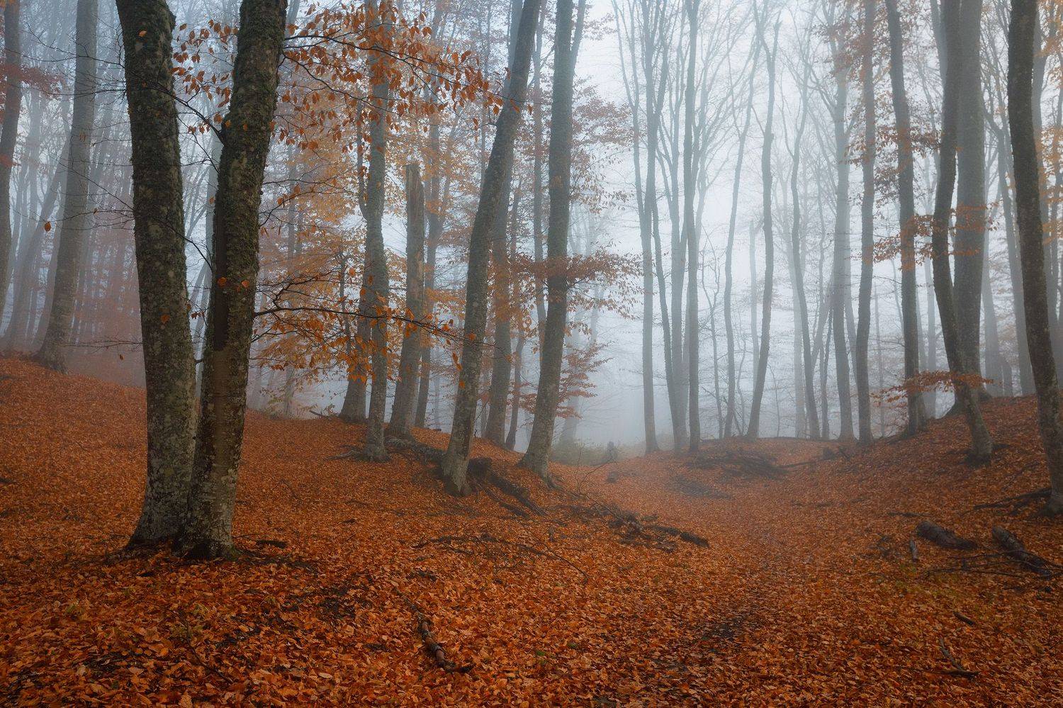 , Костенко Александр