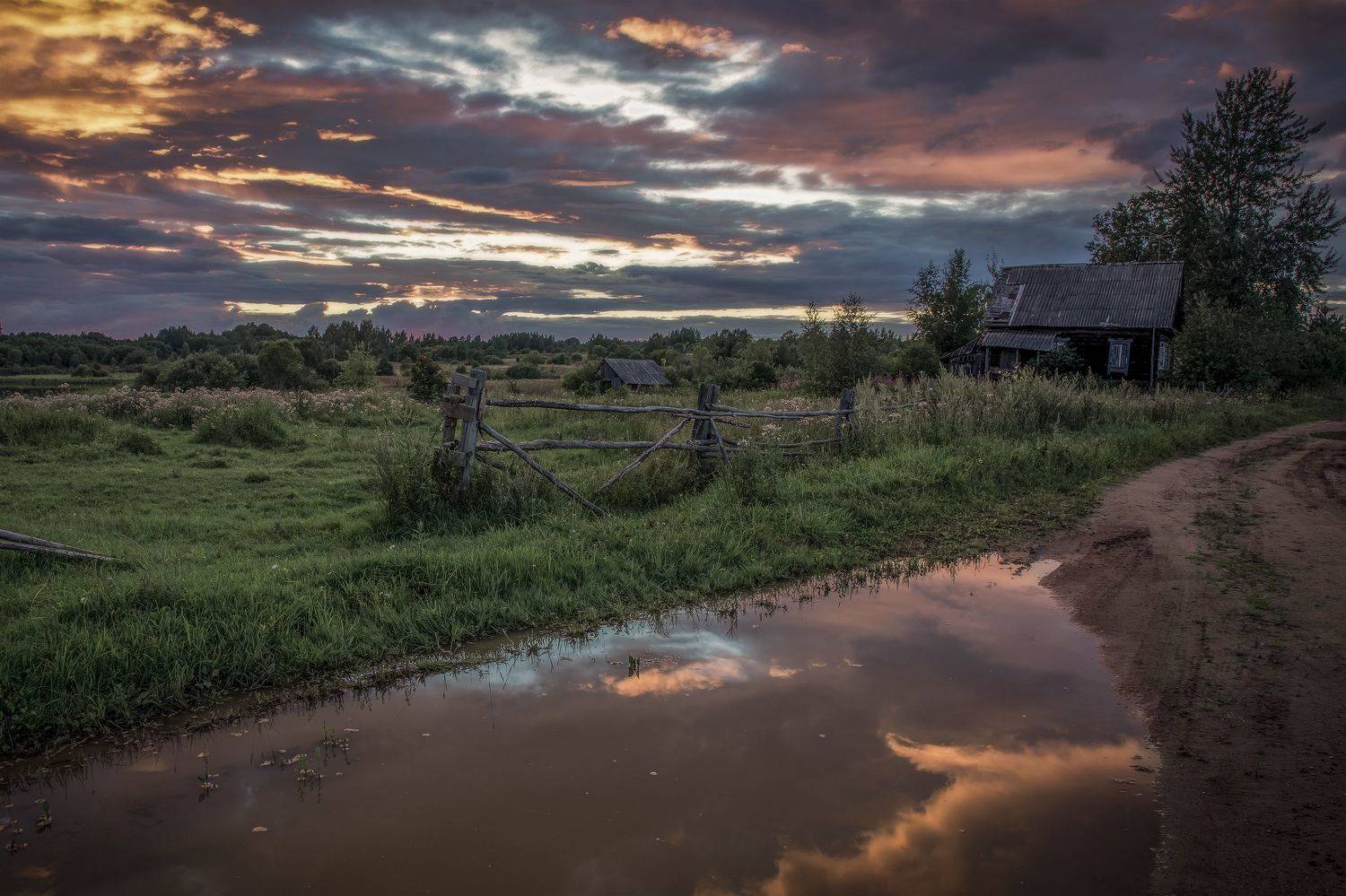 тверская, область, Гусева Елена