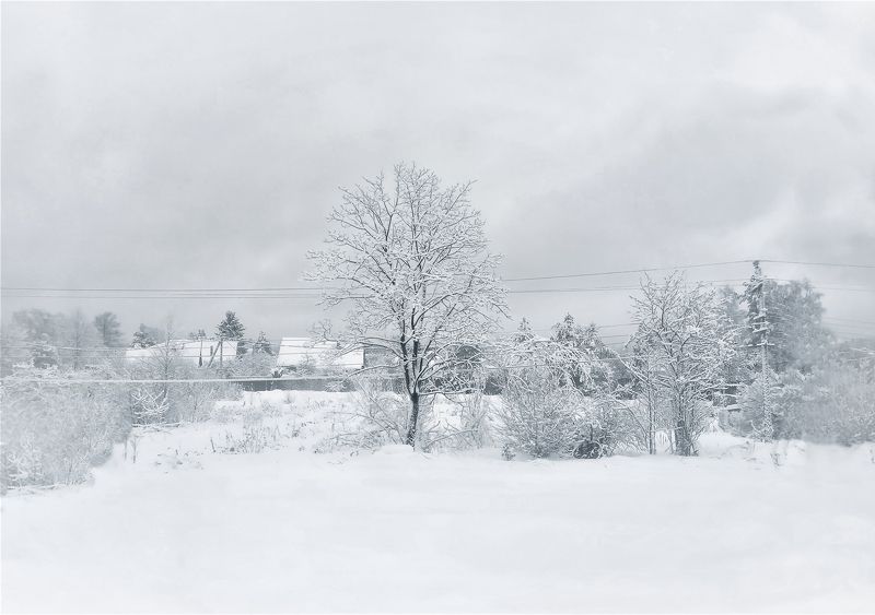 Белый сон фото превью