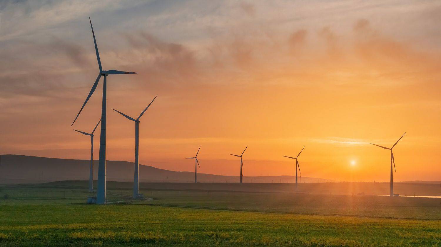 , Алиева Татьяна