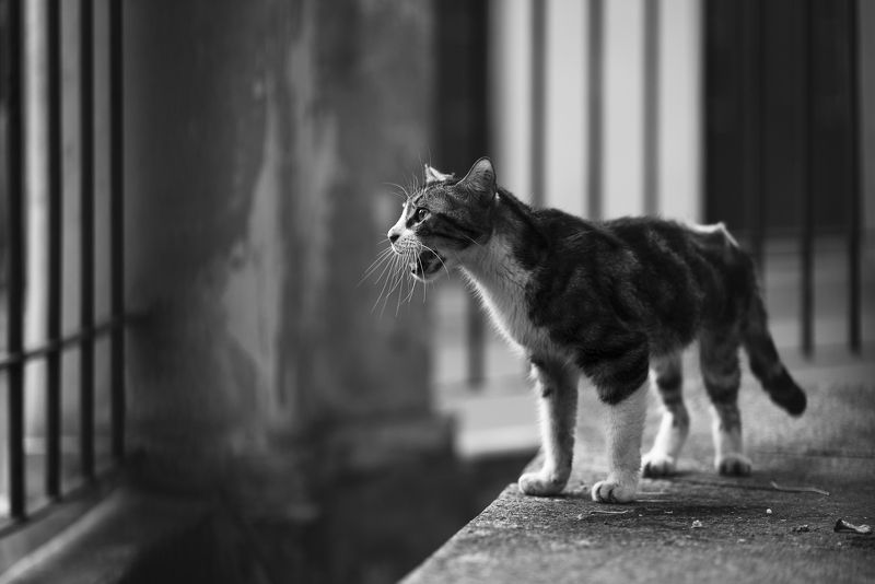 Hunger фото превью