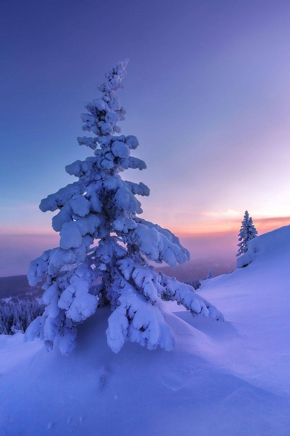 , Vyacheslav Lozhkin