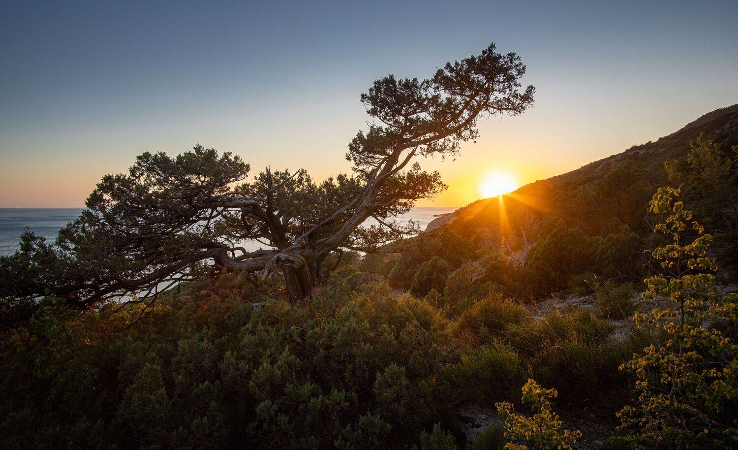 , Вадим Коваленко
