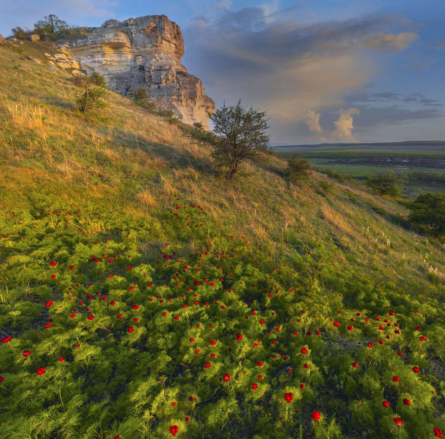 Фототуры с Владимиром Рябковым, #Крым #Crimea #crimea_life #topnature #russpasibo #magic_shots #lovelyRussia #sunset_vision #exclusive_sky  #exclusive_shots #loves_russia2 #photoarena_nature #nature_sultans #nature_perfection #rsa_sky #rsa_sunset #photoru, Владимир Рябков