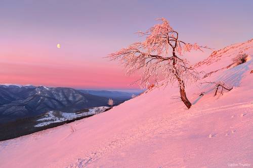 Зима в Крыму