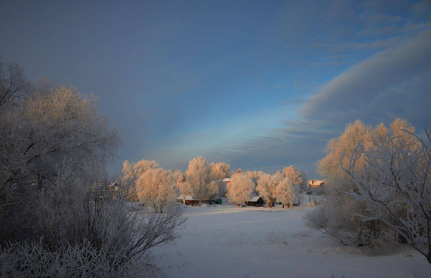 , Борис Дацковский
