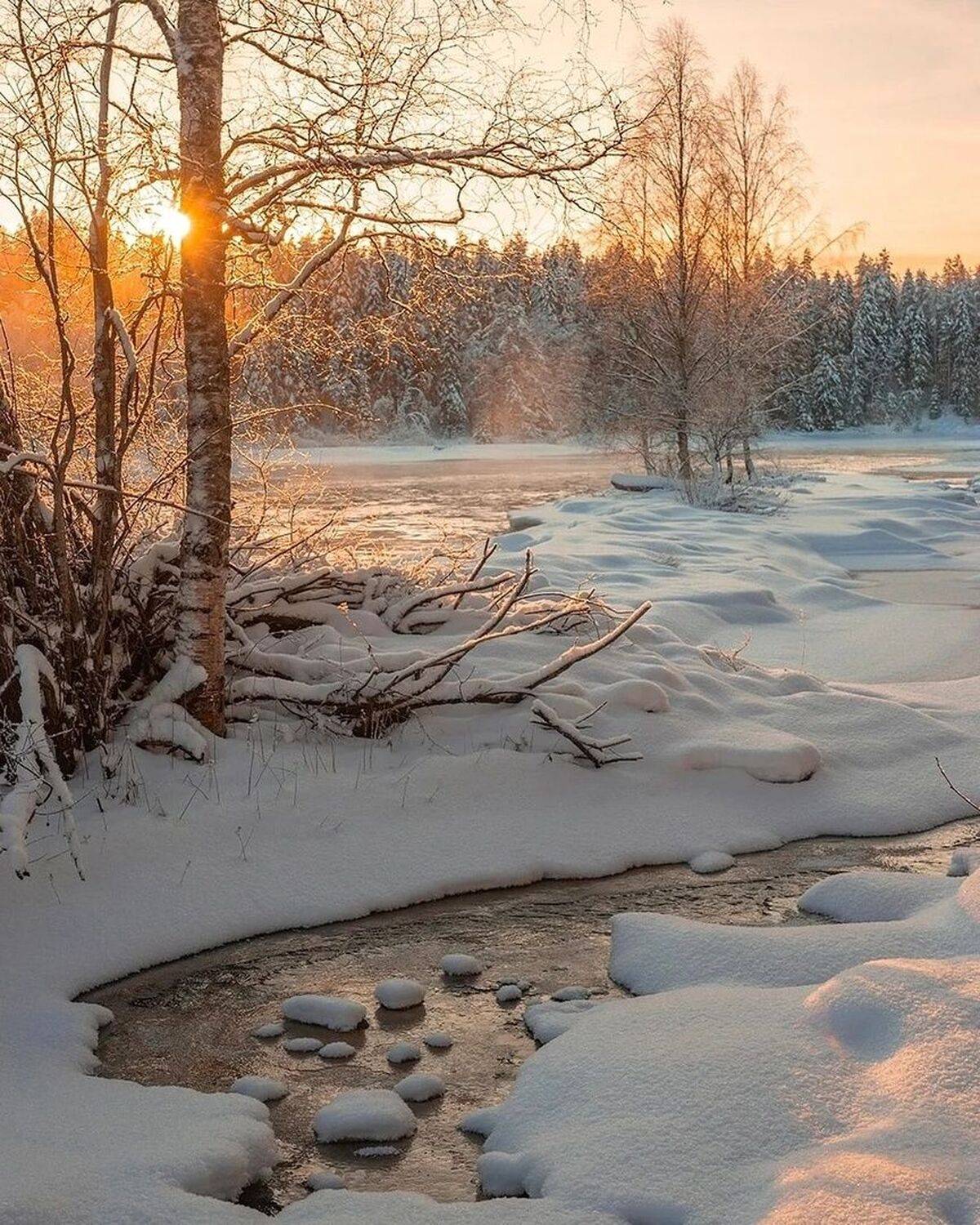 , Петр Косых