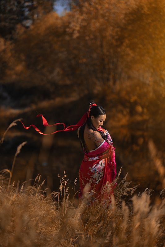 Гейша фото превью