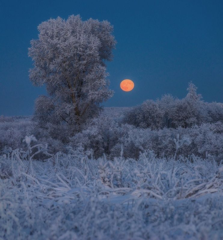 Зимнее полнолуние фото превью