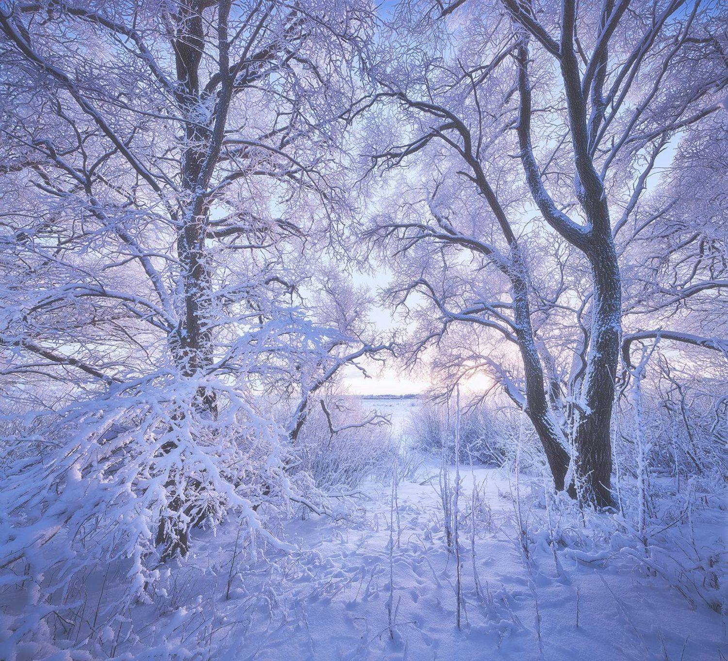 , Кононов Антон