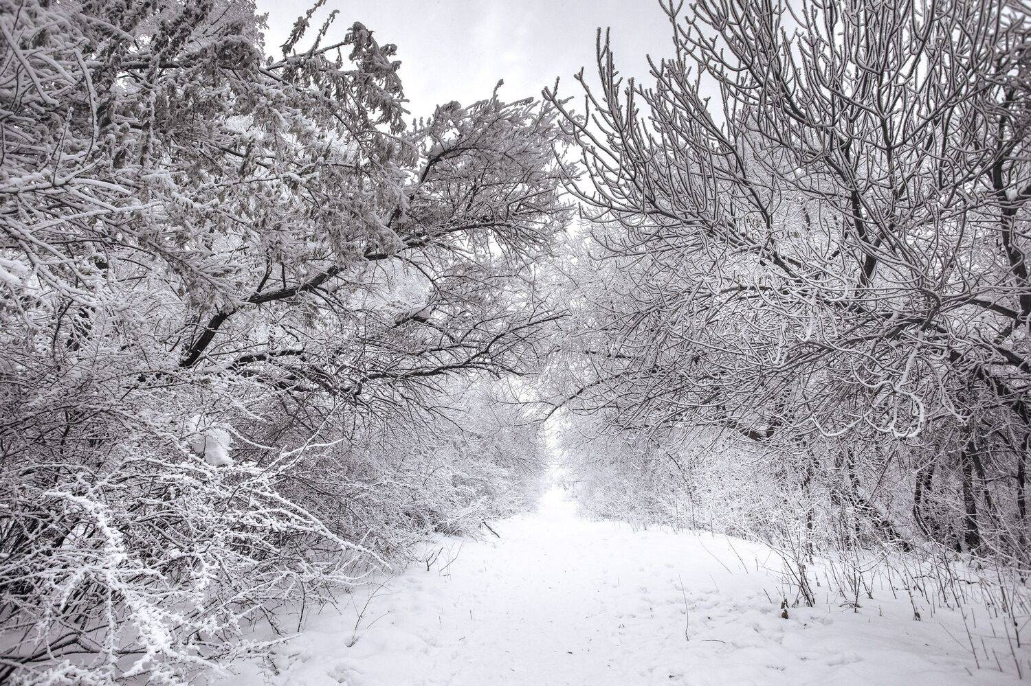 , Журавлёв Александр