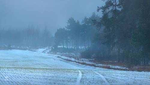 Зимний туман