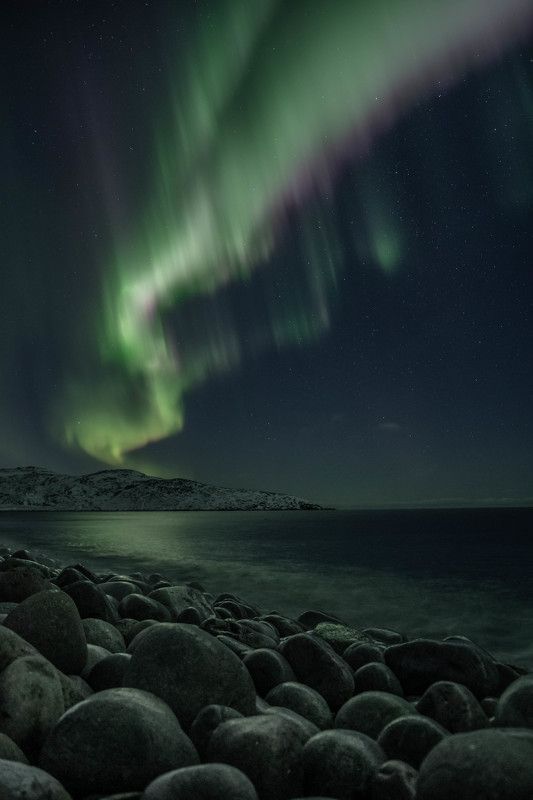 Пестрая лента фото превью