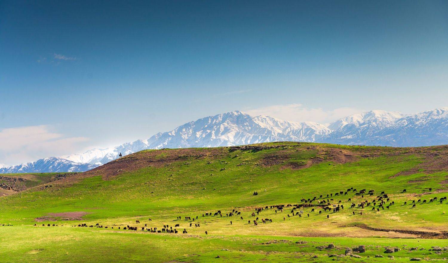 узбекистан, uzbekistan, Исаков Дмитрий