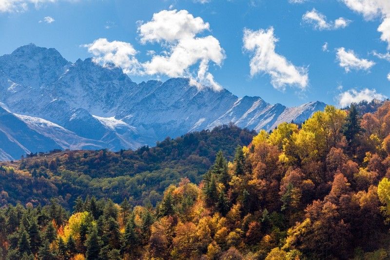 Кели фото превью