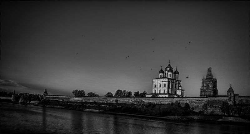 Птицы над городом. фото превью
