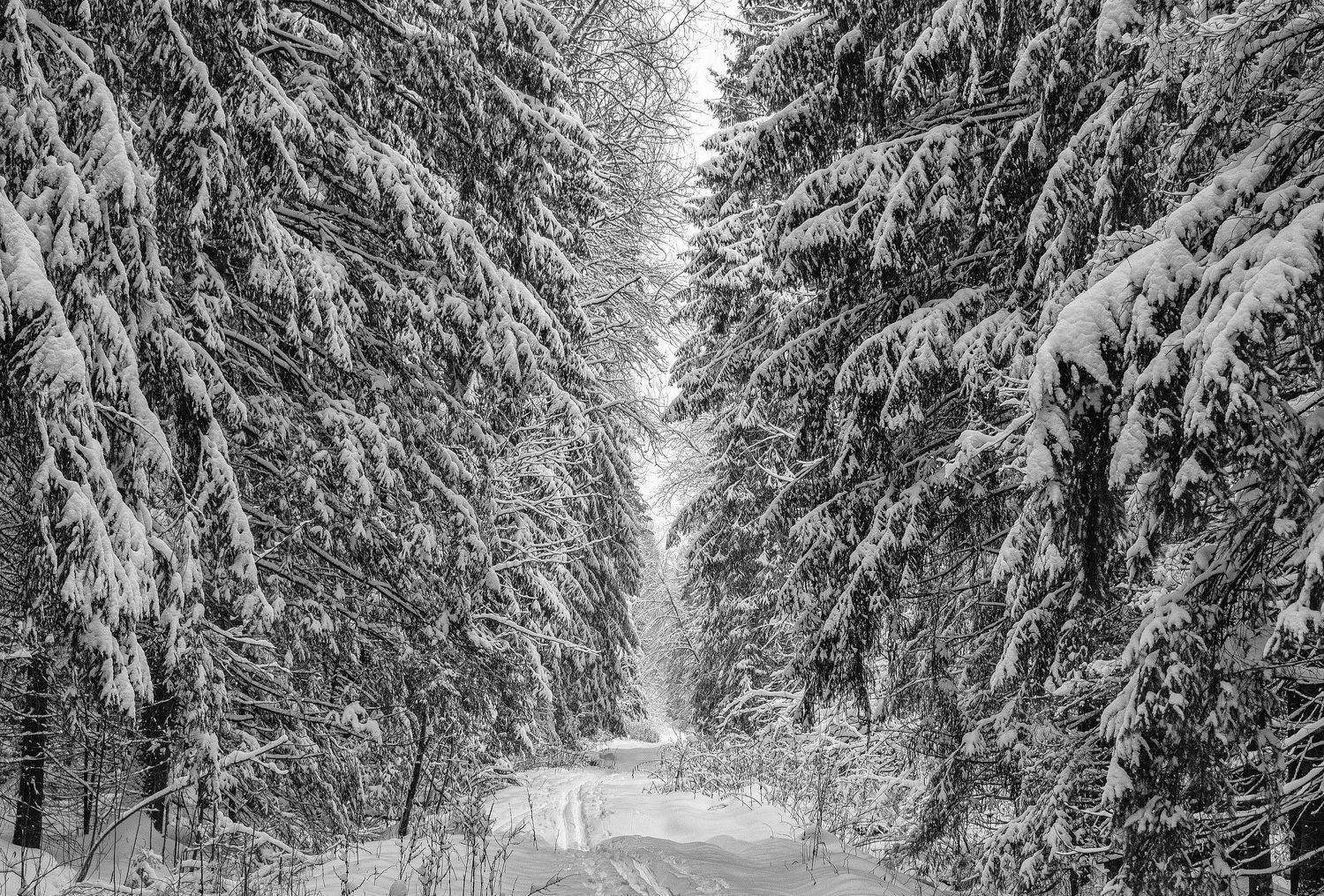 , Владимир Брагилевский