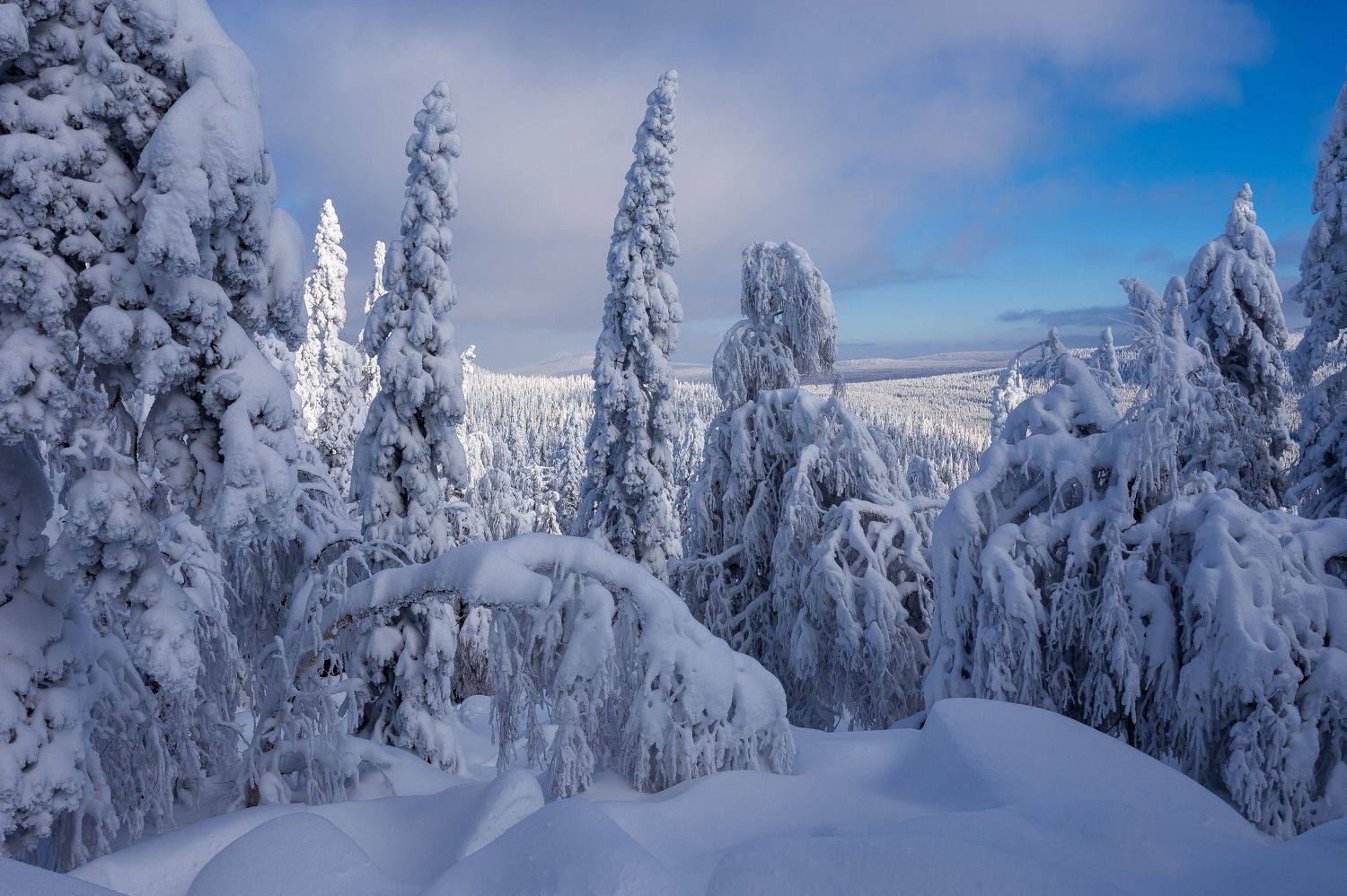 , Андрей Шарапов
