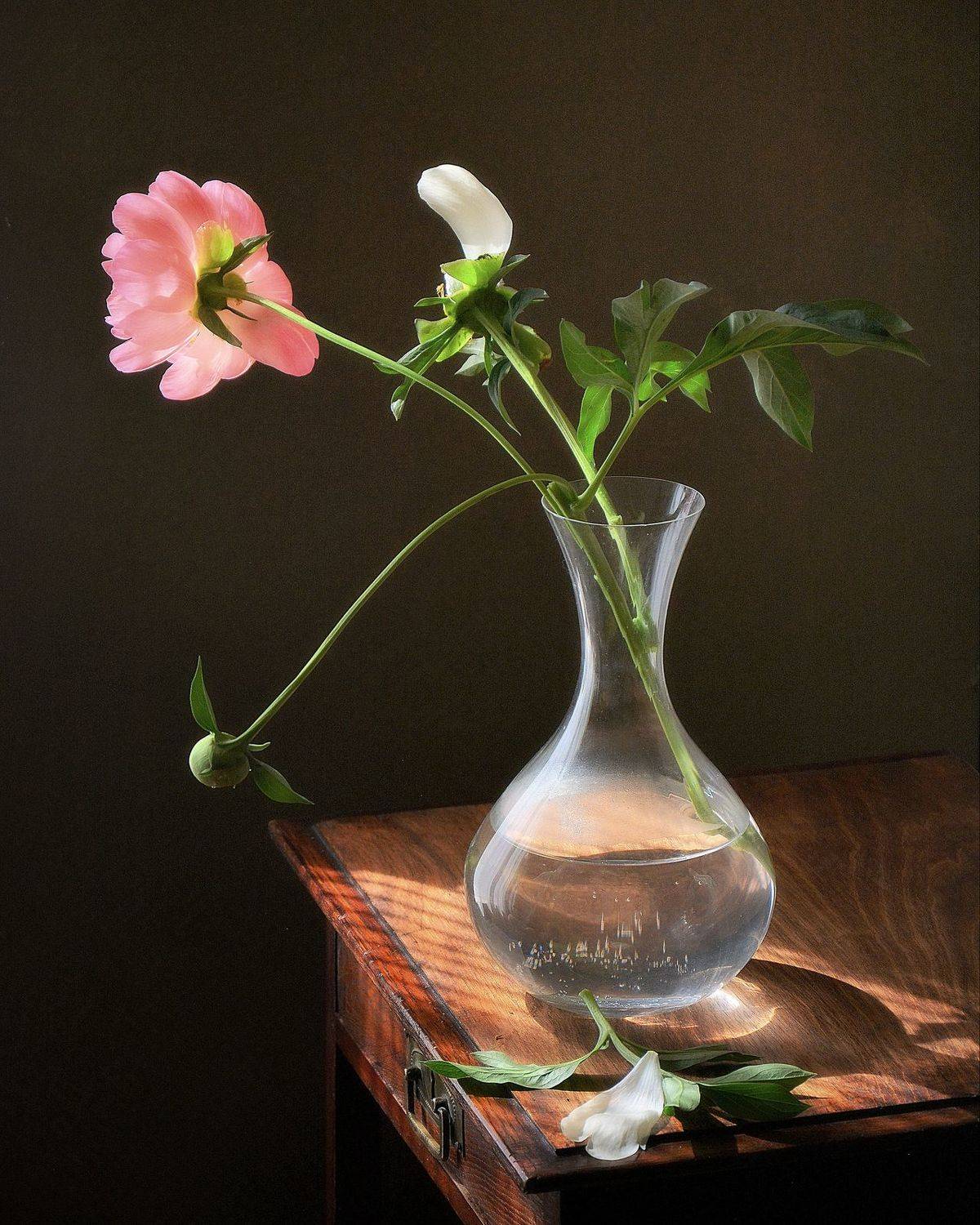 сергей алексеев, натюрморт, Сергей Алексеев