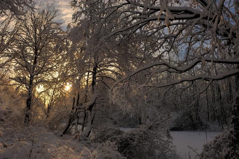 К свету... фото превью