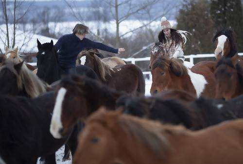 Двое и табун