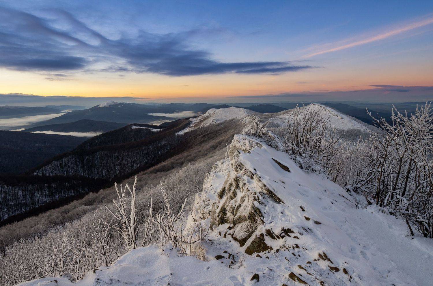 ,  Mirosław Pruchnicki