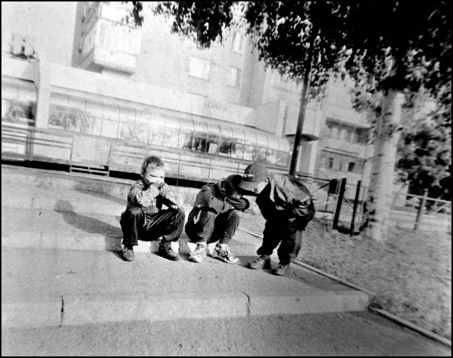 , Меднов Влад