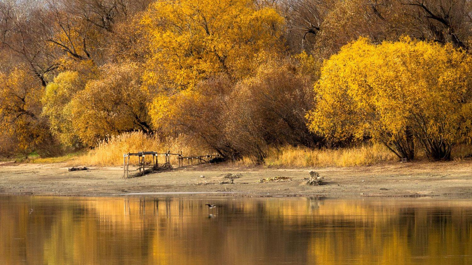 , Вадим Коваленко