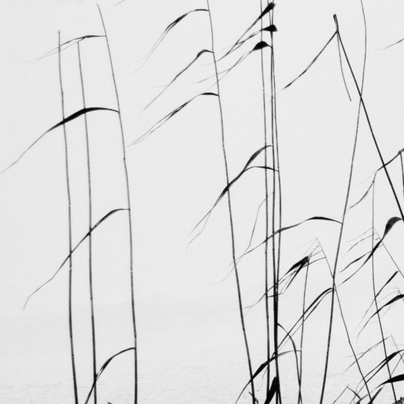 Флаги на ветру фото превью