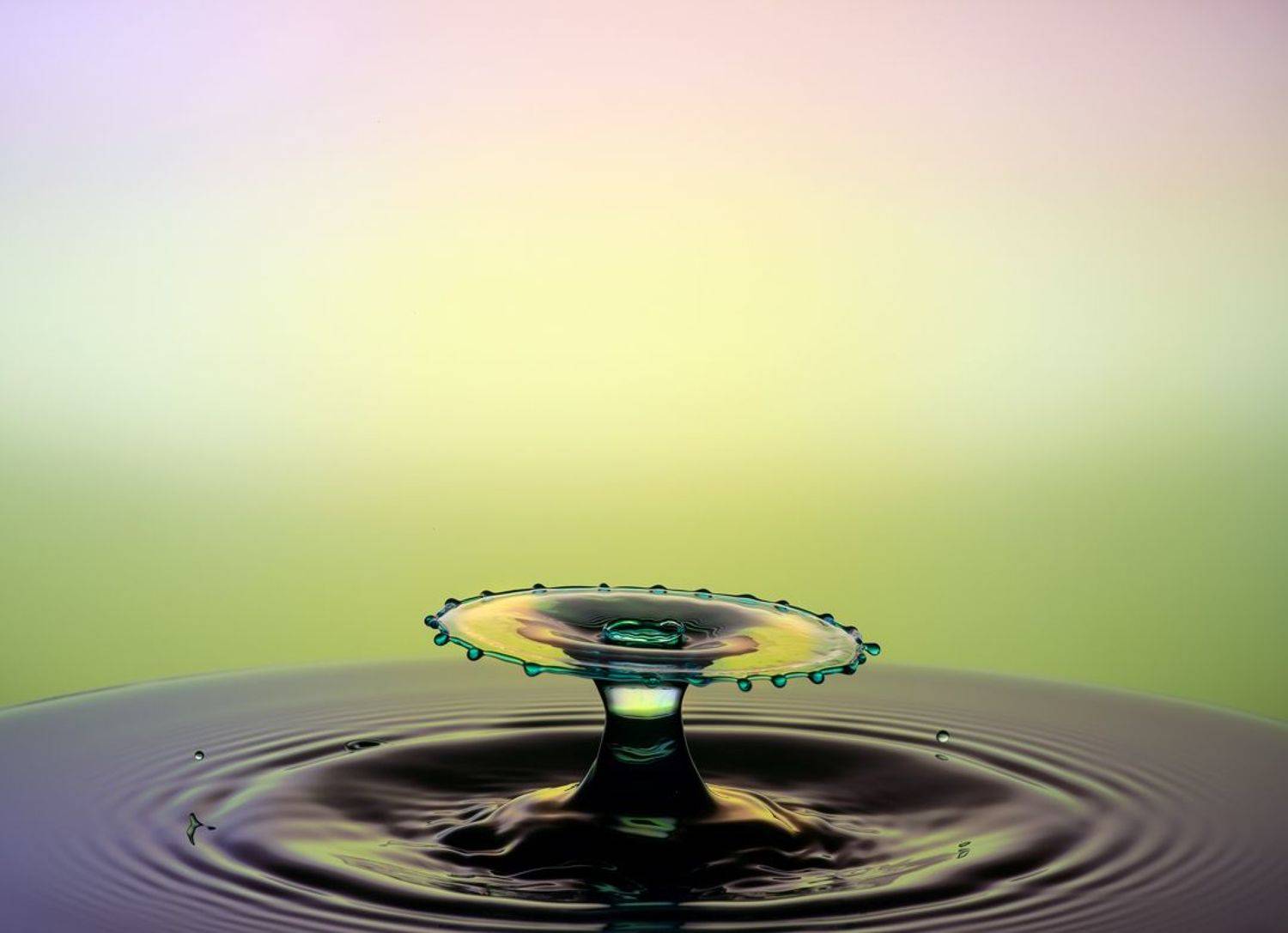 WATER,LIQUID,SPLASH PHOTOGRAPHY,ABSTRACT,TIME STOP,SPEED LIGTH,YOUSEF SAYADI,BLUE,YELLOW,MAGENTA,LIQUID ART,ABSTRACT ART,DROPS,MACRO,REFLECTIVE,HIGH SPEED PHOTOGRAPHY, Sayadi Yousef
