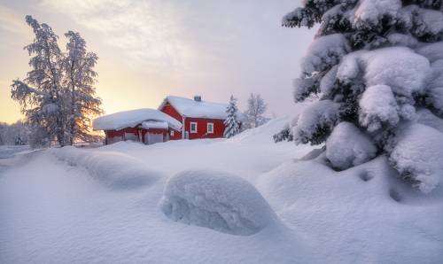 In the Heart of Winter...
