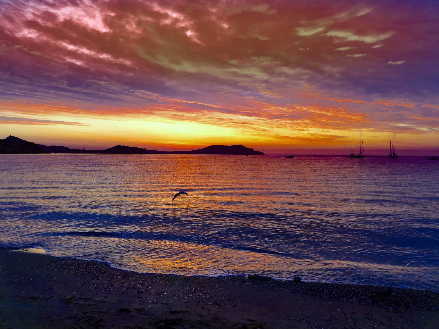 Крым. Новый Свет. Восход, Разумов Александр