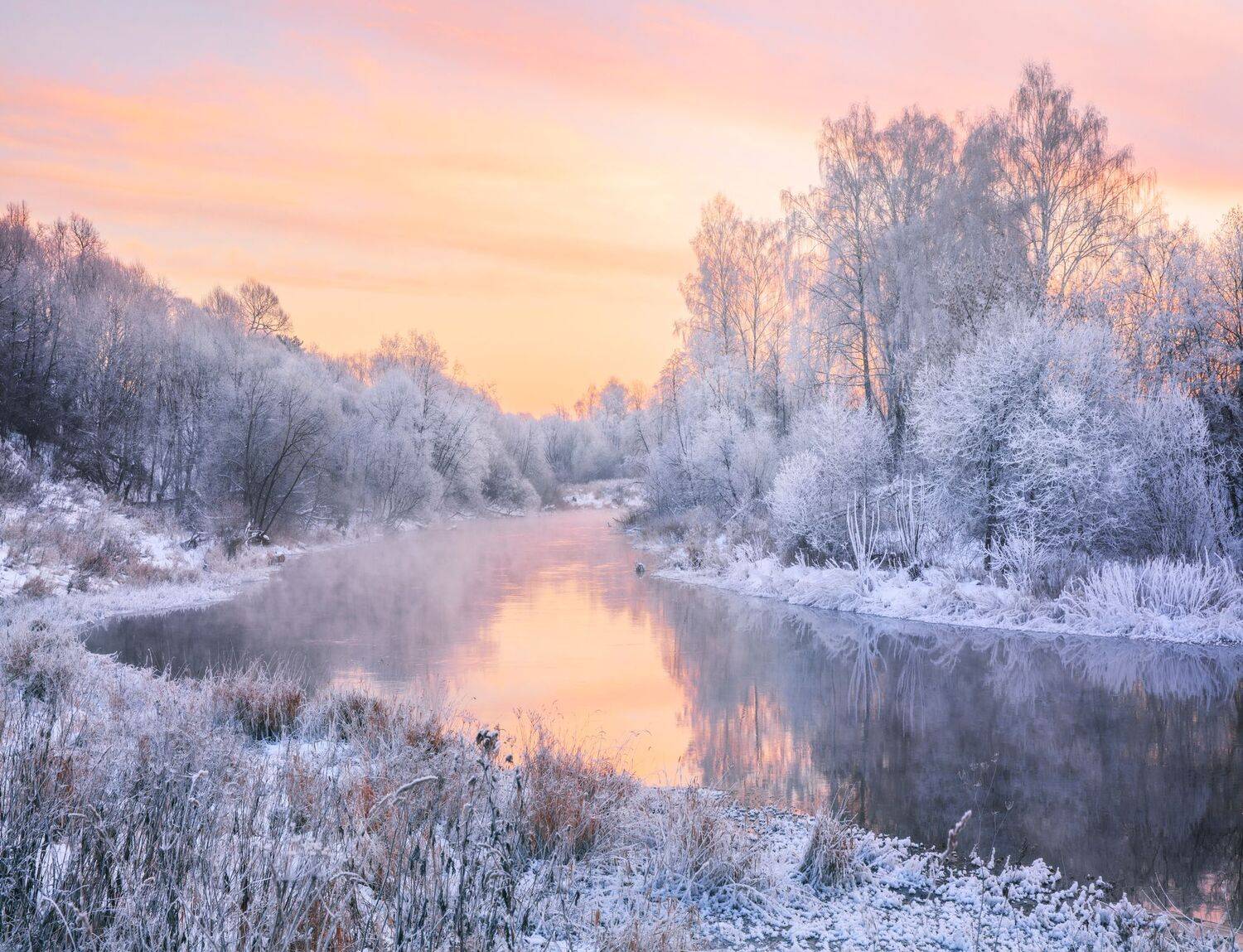 истра, Захарова Наталья