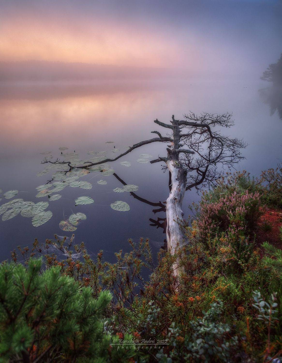 , Андрей Корочкин