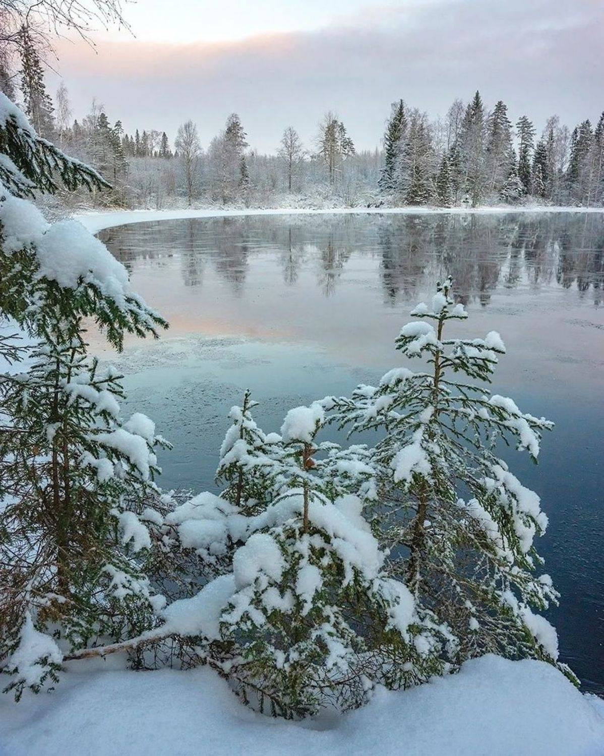 , Петр Косых