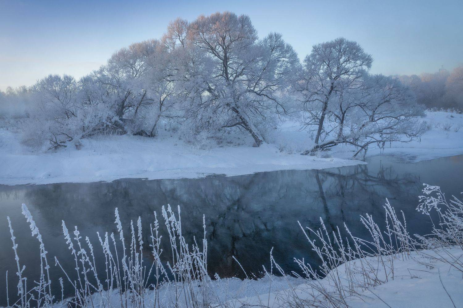 Истра, Елена Гусева