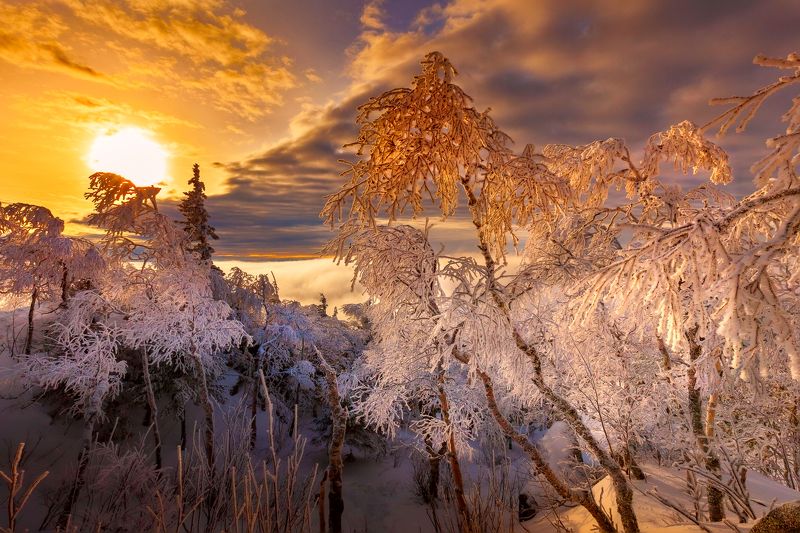 Природа Южного Урала фото превью