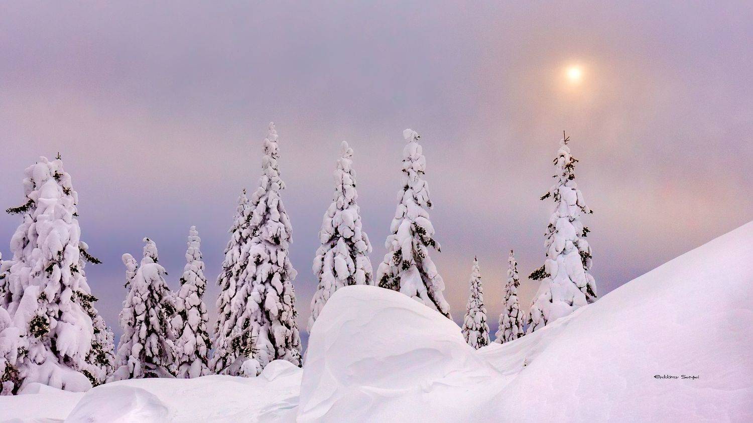 , Сергей Евдокимов