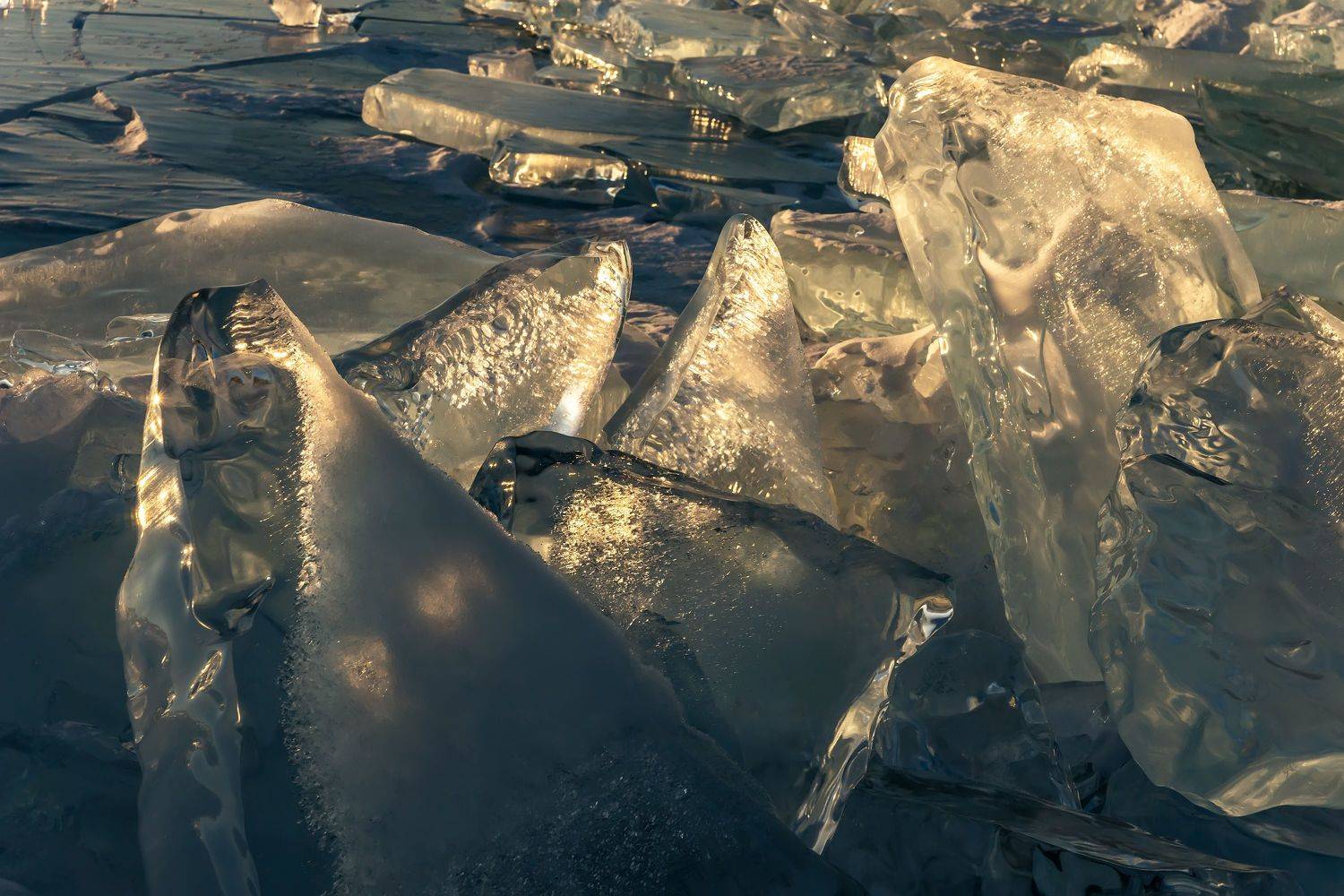 , Грищенко Ирина