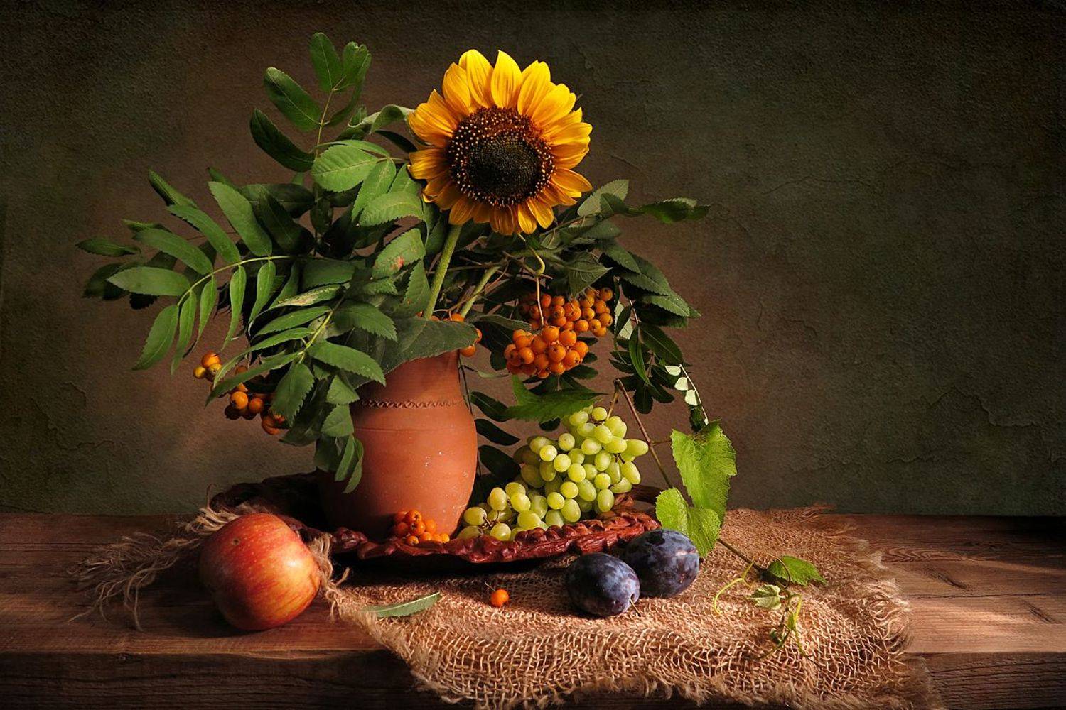 натюрморт,подсолнух,яблоко,сливы,рябина,мешковина,вигноград,кувшин, Алла Шевченко