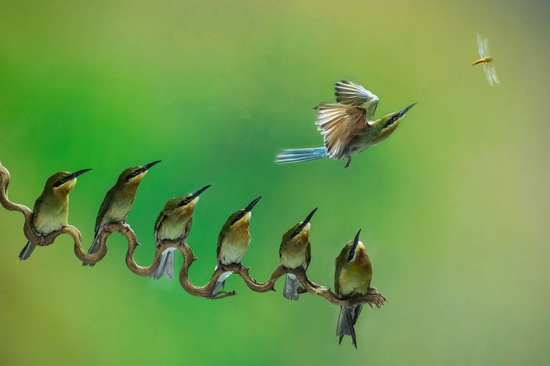 Lucky seven фото превью