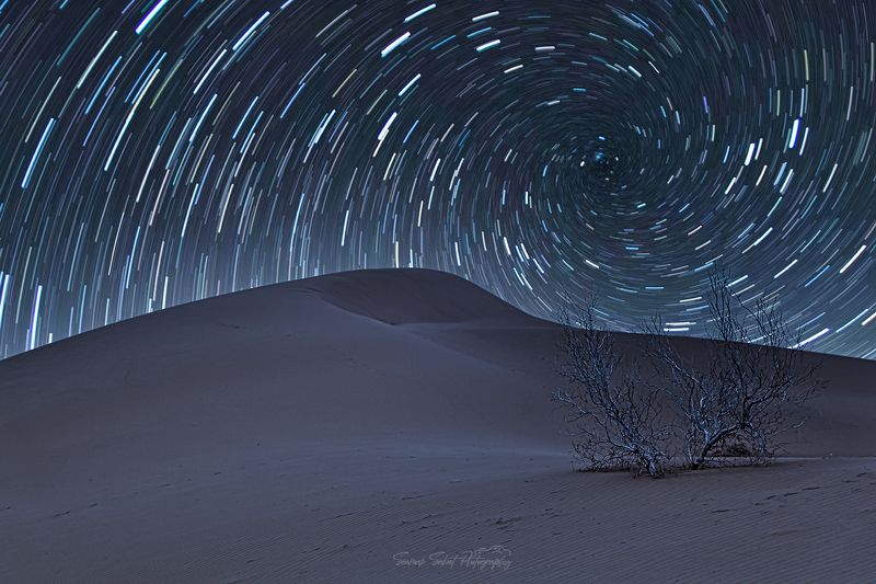 Dream Night фото превью