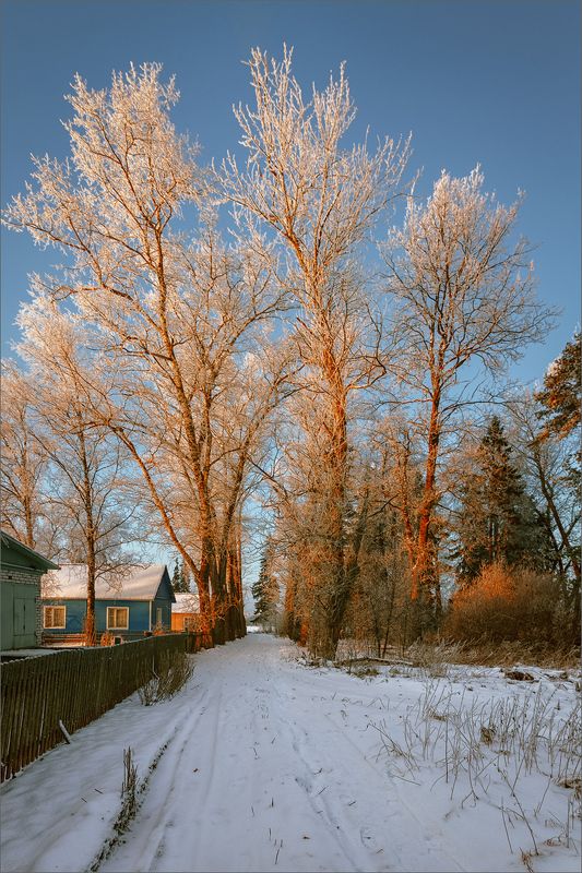 пейзаж, деревня, зима, свет, цвет, александр никитинский Картинка деревенская... фото превью