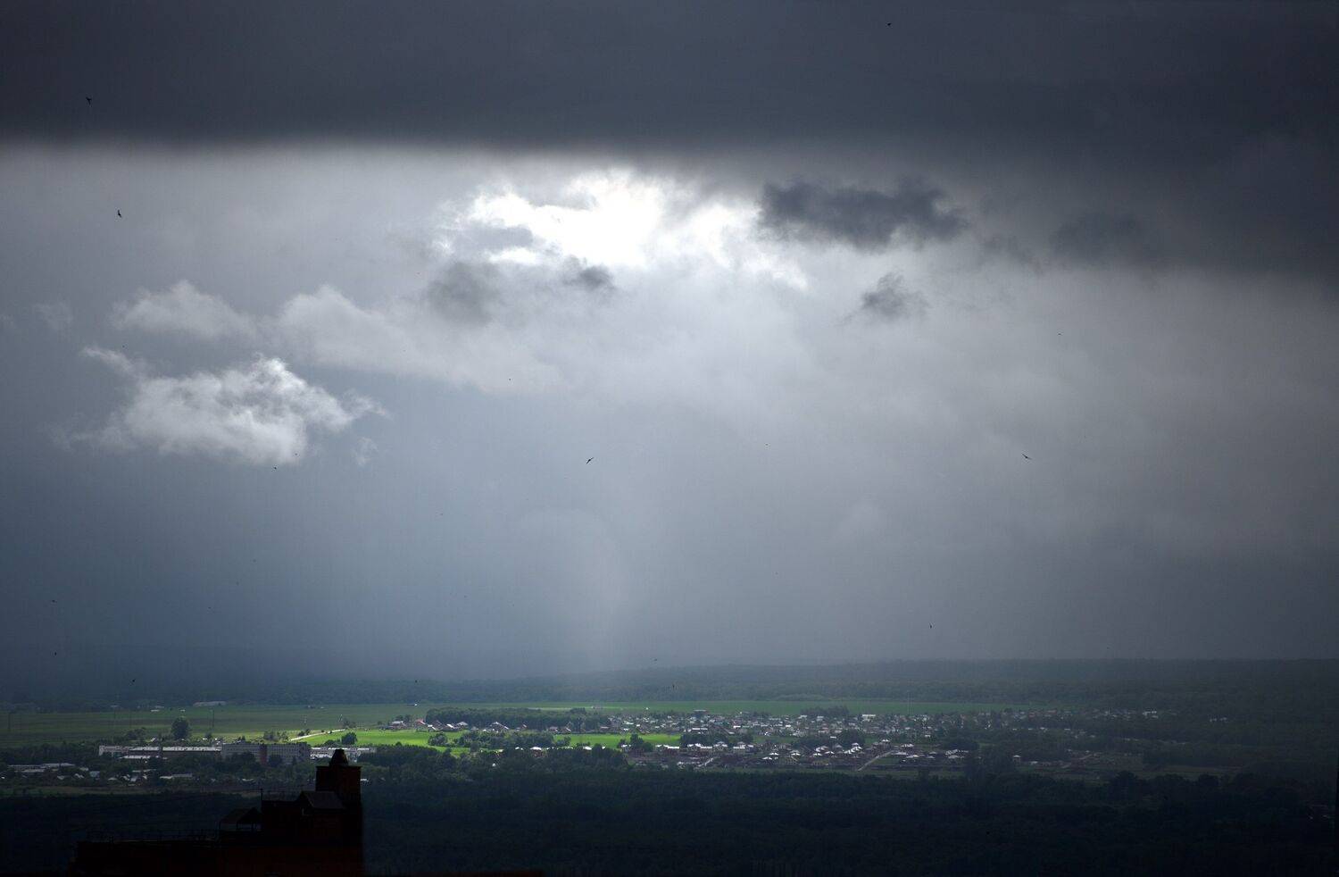 , Меднов Влад