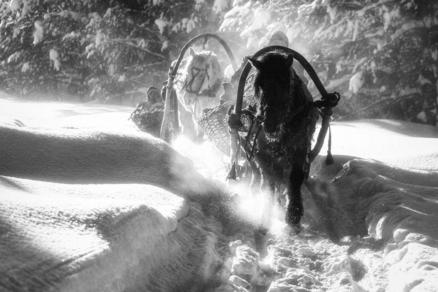 , Усманов Рашид